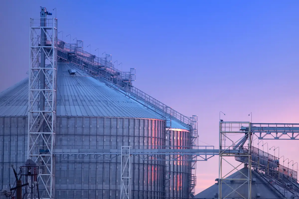 Agricultural industrial facility with structural steel