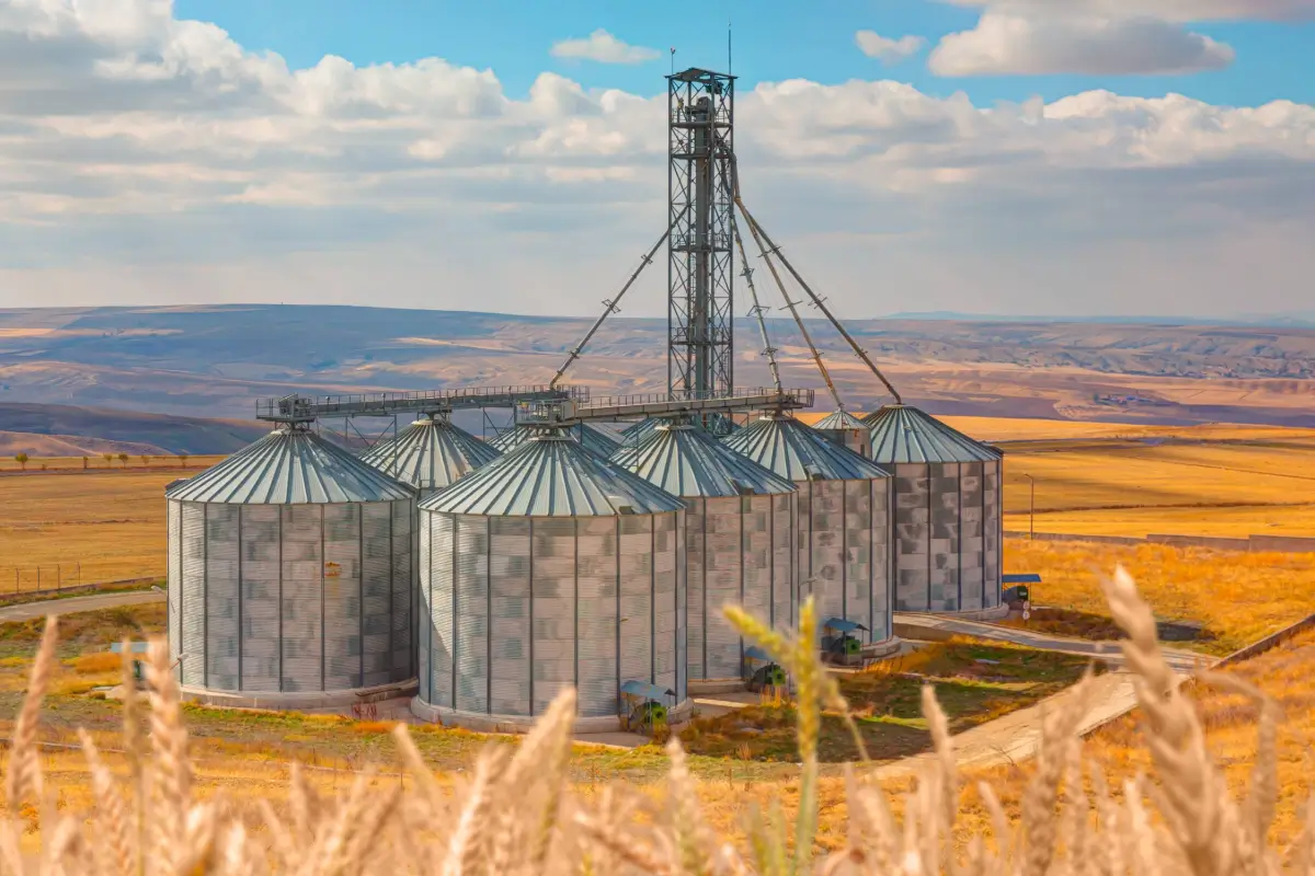 Grain silos and agricultural storage structures in a field