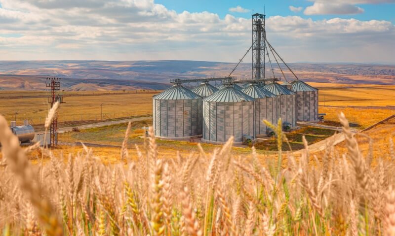 Grain silos and agricultural storage structures in a field